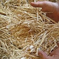 Double F Farms Premium Organic 100% Natural Straw for Animal Bedding, Garden Mulch, Compost & Fertilizer, and Grass Cover (4 lbs)