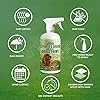 PetraTools Green Grass Paint for Lawn, Ready-To-Use Green Grass Lawn Spray & Dog Spot Repair, Lawn Paint, Spray on Grass, Green Lawn Spray, Green Grass Spray Paint for Lawn Yellow & Urine Spots, 16 Oz