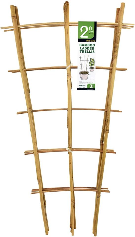 Natürliches Bambusspalier, 61 cm hoch, Mininfa-Gartenleiterspalier, Pflanze für Kletterpflanzen, Gemüse, Töpfe – 3er-Pack 