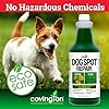 Covington Pre-Mixed Green Grass Paint for Lawn - Perfect Grass Color Fix for Dog Urine Spots or Brown Patches - Green Grass Spray Paint for Lawn & Turf - Just Point & Spray - (32 fl. oz.)