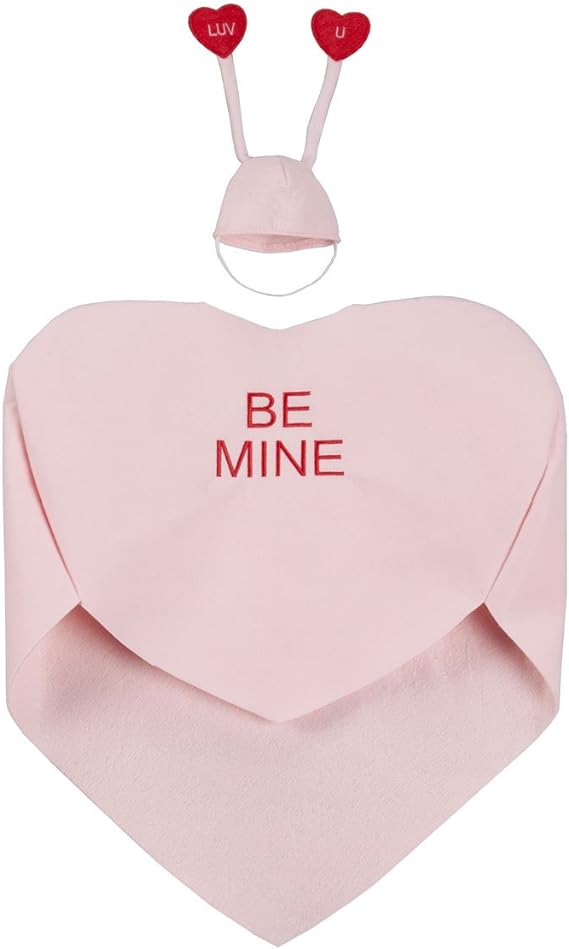 Traje de ganso con corazón de conversación de Miles Kimball 