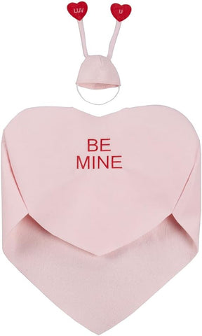 Traje de ganso con corazón de conversación de Miles Kimball 