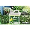 Grass Paint Concentrate (500-1,000 sq ft) - for Dormant, Patchy or Faded Lawn - Lush Green Turf Colorant (32 fl oz)