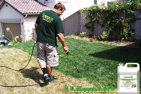 Lawnlift Ultrakonzentrierte (grüne) Grasfarbe 16oz. = 1,375 Gallonen Produkt. 