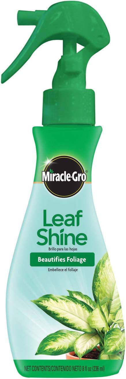 Brillo de hojas Miracle-Gro, 8 onzas, verde 