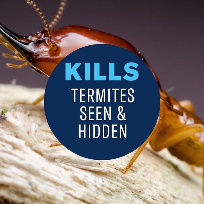 BioAdvanced Termite and Carpenter Bee Killer Plus, Foam, 18 oz