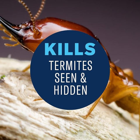BioAdvanced Termite and Carpenter Bee Killer Plus, Foam, 18 oz