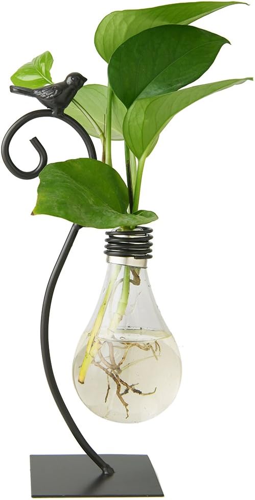 Marbrasse Macetero de cristal para escritorio, florero hidropónico, macetero con soporte para decoración del hogar, soporte moderno y creativo para terrario de plantas de pájaros, contenedor Scindapsus (florero de bombilla)