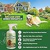 PetraTools Green Grass Paint for Lawn, Ready-To-Use Green Grass Lawn Spray & Dog Spot Repair, Lawn Paint, Spray on Grass, Green Lawn Spray, Green Grass Spray Paint for Lawn Yellow & Urine Spots, 16 Oz