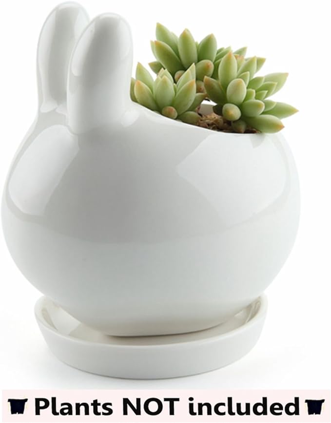 T4U Ceramic Pot White, Rabbit Planter Succulent Plant Cactus Flower Porcelain Holder Container Outdoor Indoor Home Office Decoration with Round Tray - Pack of 3