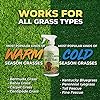 PetraTools Green Grass Paint for Lawn, Ready-to-Use Green Grass Lawn Spray & Dog Spot Repair, Lawn Paint, Spray on Grass, Green Lawn Spray, Green Grass Spray Paint for Lawn Yellow & Urine (32Oz)