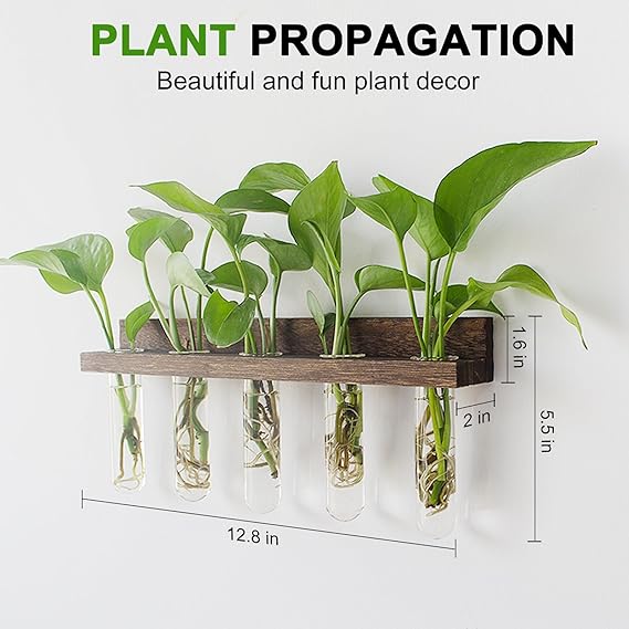 Renmxj Wall Hanging Plant Propagation Station (15 Test Tubes)