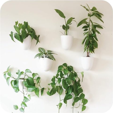 Make Good Virgo Macetas de pared con riego automático (juego de 6) – Fácil de regar e instalar – Ligeras – Diseña tu propio jardín vertical – Macetas de pared para plantas de interior