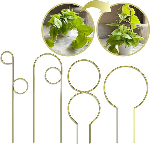 LOOPSEED Kleines Rankgitter aus Metall für Zimmerpflanzen, Metall-Pflanzstab zum Klettern, Zimmerpflanzen, Pflanzenstütze für Topfpflanzen, Orchideen, Monstera, Pothos, Efeu, Hoya, Philodendron, 4er-Set (gebürstetes Gold). Besuchen Sie den LOOPSEED Store 