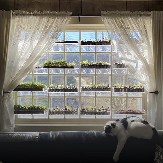 Window Garden Doppelte Gemüseleiste – Fensterregal für Pflanzen, transparente Acrylregale – Saugnapf-Pflanzenhalter für den Innenbereich – Fensterbankverlängerung aus Glas für Microgreens-Set, Pflanzgefäße (1 Packung)