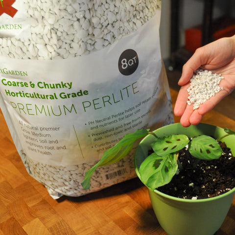xGarden 8 Quarts Premium-Perlit in Gartenbauqualität – grob und grob 