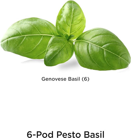 AeroGarden Pesto Basil Seed Pod Kit (6-pod)