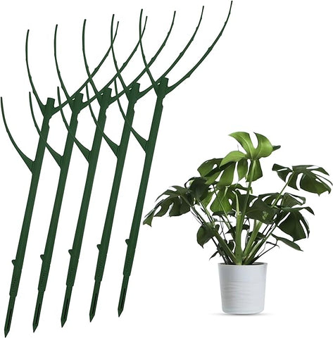 Twigs GA – Monstera Show &amp; Grow Pack. Tolle Alternative für Moosstangenpflanzen Monstera. Passt sich der Pflanze an, keine Bänder/Drähte. 17 Zoll stapelbar. Made USA (Stapelbarer Zweig (5er-Pack), Grün) 