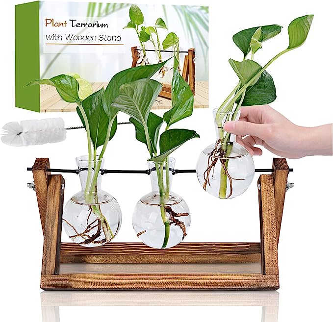 RENMXJ Plant Propagation Station, Gifts for Women, Home Office Garden Decor Planter(3 Bulb Vase)
