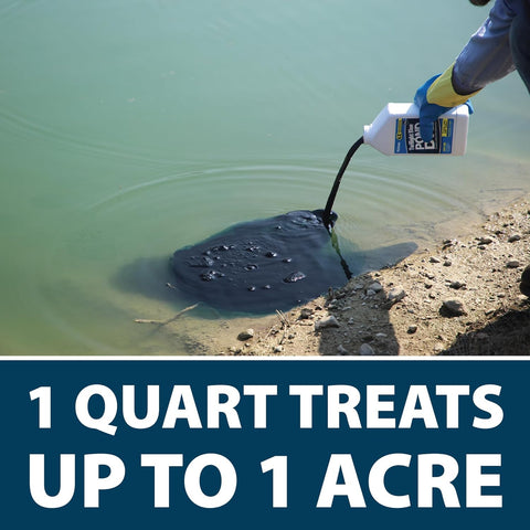 Airmax Pond Dye 4X Concentrate for Outdoor Ponds & Lakes, Natural Pond Colorant & Water Beauty Enhancer, Block Ultraviolet Rays, Fish, Bird & Livestock Safe, Easy Liquid Application, 1 Quart