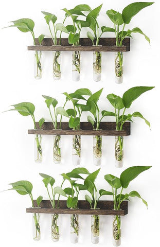 Renmxj Wall Hanging Plant Propagation Station (15 Test Tubes)