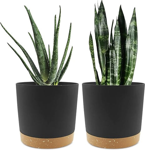 QCQHDU Plant Pots Set of 2 Pack 8 inch,Planters for Indoor Plants with Drainage Holes and Removable Base,Saucer Modern Decorative for Outdoor Garden Planters(Dark Grey 8in)