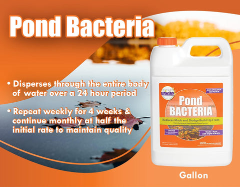 Bacterias para estanques PondWorx, formuladas para estanques grandes, fuentes de agua y seguras para koi, galón 