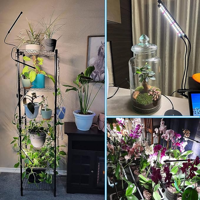 FRGROW Grow Lights for Indoor Plants Full Spectrum, Plant Lights for Indoor Growing, 3000k/5000k/660nm Plant Grow Lamps, Clip on Plant Lamp with White Red LEDs, Timer Setting,10-Level Dimmable 3-Head