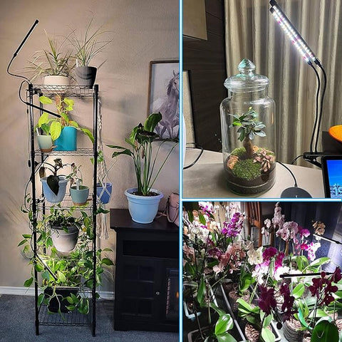 FRGROW Grow Lights for Indoor Plants Full Spectrum, Plant Lights for Indoor Growing, 3000k/5000k/660nm Plant Grow Lamps, Clip on Plant Lamp with White Red LEDs, Timer Setting,10-Level Dimmable 3-Head