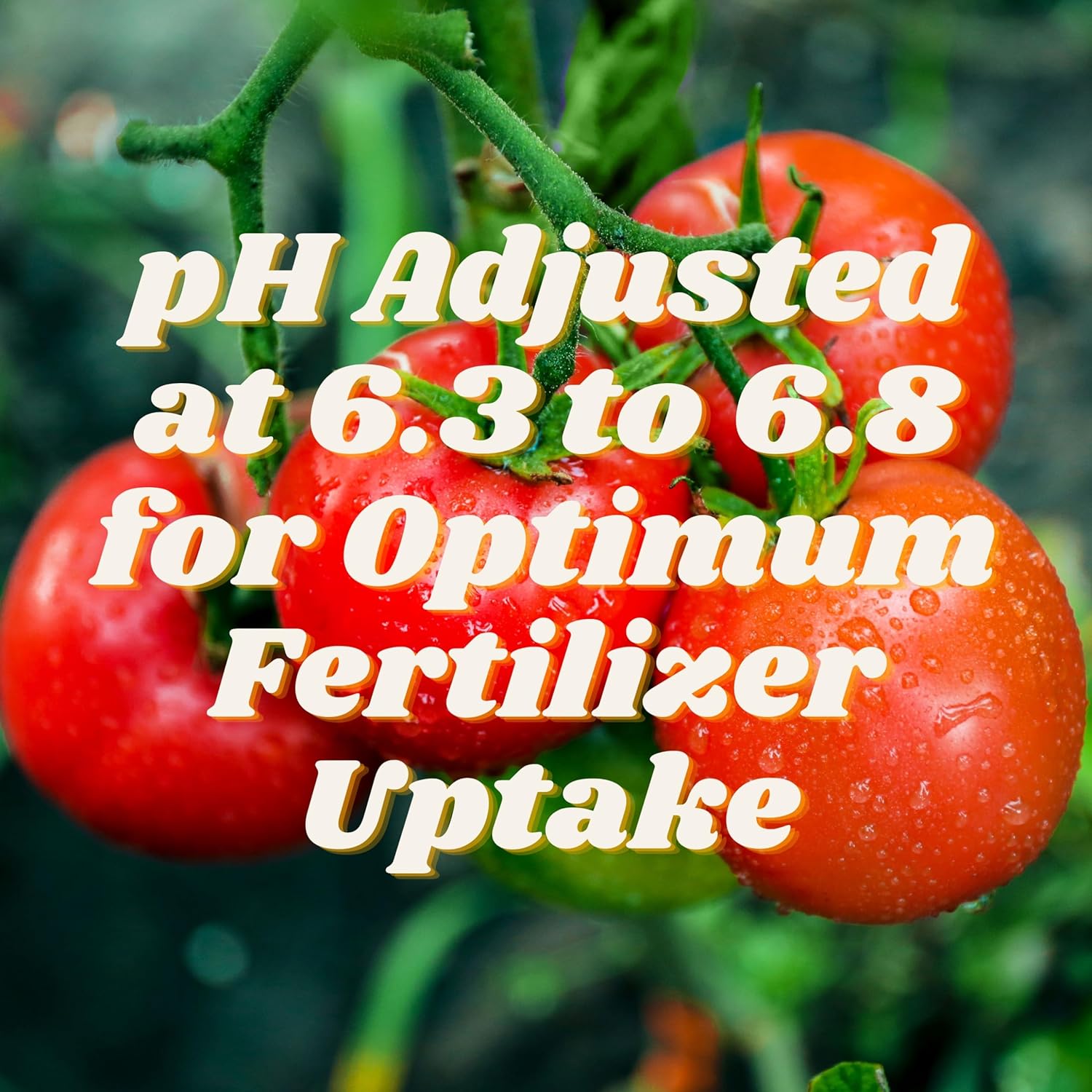 FoxFarm Ocean Forest Mezcla de tierra para macetas para interiores y exteriores para jardín y plantas | Fertilizante para plantas | 12 cuartos | La apuesta de la ciudad hidropónica 