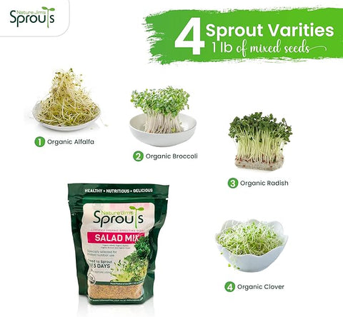 Nature Jims Sprouts Salad Sprout Mix - Organic Salad Mix for Growing - Non-GMO Microgreen Seeds - Healthy Broccoli, Alfalfa, Radish, Clover Sprouting Seeds Variety Mix - Microgreens Growing 1lb