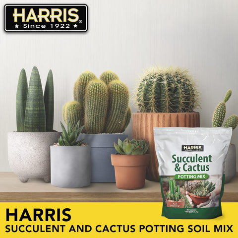 Harris Premium Succulent and Cactus Potting Soil Mix, Fast Draining with Added Nutrients, 4 Quarts