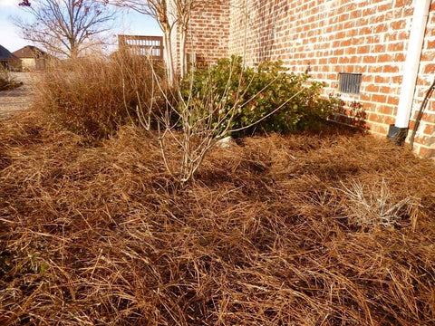 USA Pine Straw - Premium Pine Needle Mulch (Pine Needle Mulch - Covers 100 Sqft 1 Set)