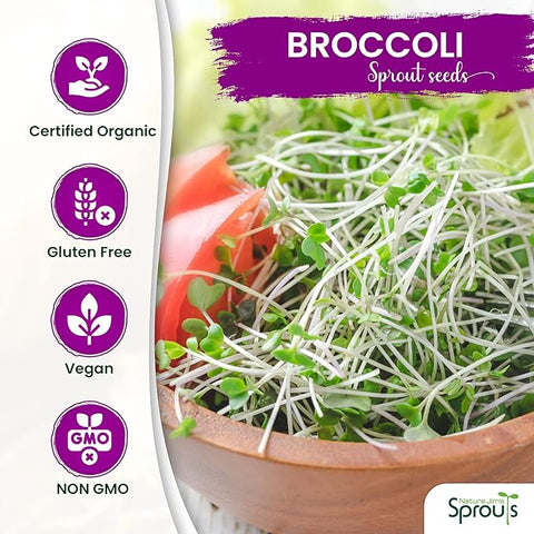 Nature Jims Sprouts Broccoli Sprout Seeds - Certified Organic Broccoli Sprouting Seeds for Indoor/Outdoor Use - Rich in Sulforaphane Healthy, Nutritious Broccoli Seeds Sprout in 5 Days - 8oz