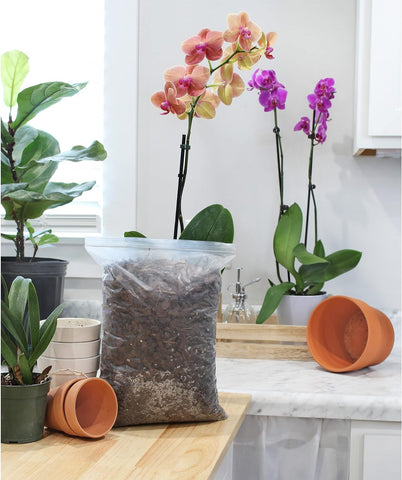 Allzweck-Orchideenmischung für Blumenerde für Zimmerpflanzen (2 Quarts), Orchideenrinde und organisches Perlit für Pflanzen – Sukkulenten-Erde-Blumenerde für Zimmerpflanzen – Orchideenerde 