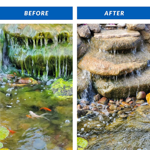 CrystalClear Algae D-Solv Pond Algae Control, Fast-Acting EPA Registered Algaecide, Use in Fountains & Outdoor Ponds Containing Koi & Other Fish, Treats 5,760 Gallons, 16 Ounces