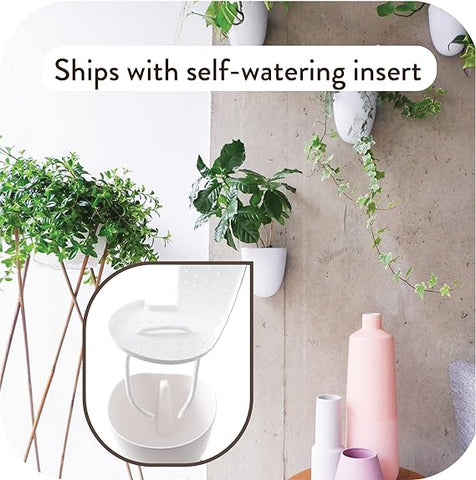 Make Good Virgo Macetas de pared con riego automático (juego de 6) – Fácil de regar e instalar – Ligeras – Diseña tu propio jardín vertical – Macetas de pared para plantas de interior