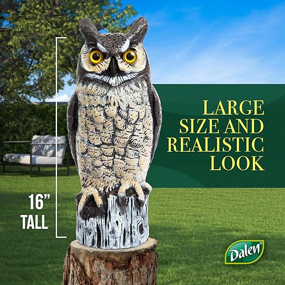 Dalen Fake Owl Decoy to Scare Birds Away from Gardens, Rooftops, and Patios - Scarecrow Provides Natural Pest Control - Safe and Humane, 16" Two Color Great Horned Owl