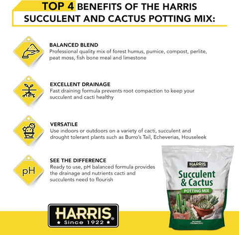 Harris Premium Succulent and Cactus Potting Soil Mix, Fast Draining with Added Nutrients, 4 Quarts
