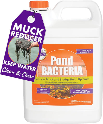 Bacterias para estanques PondWorx, formuladas para estanques grandes, fuentes de agua y seguras para koi, galón 
