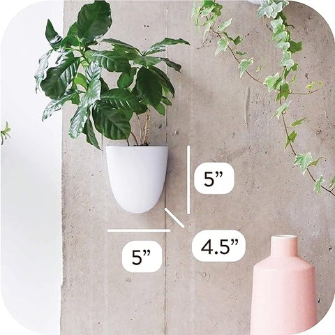 Make Good Virgo Macetas de pared con riego automático (juego de 6) – Fácil de regar e instalar – Ligeras – Diseña tu propio jardín vertical – Macetas de pared para plantas de interior