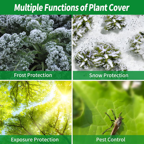 Avalution Plant Covers Freeze Protection, 10x50 FT Frost Cloth for Winter, 0.9 oz/yd² Reusable Frost Blankets for Plants Floating, Row Covers for Outdoor Vegetables Season Extension