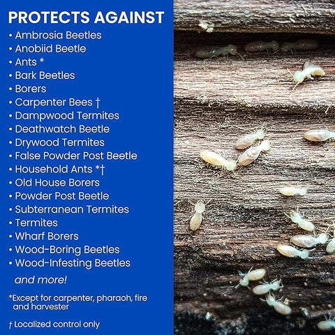 BioAdvanced Termite and Carpenter Bee Killer Plus, Foam, 18 oz