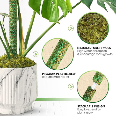 DUSPRO Paquete de 2 postes de musgo de malla apilables verdes de 38 pulgadas para plantas trepadoras que apoyan el enrejado Monstera, para plantas de interior, palos de musgo extensibles para plantas, estacas para plantas en maceta Monstera 