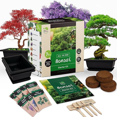 REALPETALED Bonsai Starter Kit – Japanese Bonsai Tree Kit with Bonsai Tools, 7 Bonsai Tree Seeds, Pots – Complete Grow Your Own Bonsai Tree Live Kit – Plant Lover Gifts Home Gifts for Men and Women