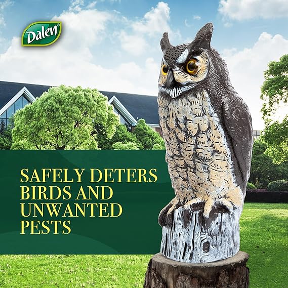 Dalen Fake Owl Decoy to Scare Birds Away from Gardens, Rooftops, and Patios - Scarecrow Provides Natural Pest Control - Safe and Humane, 16" Two Color Great Horned Owl