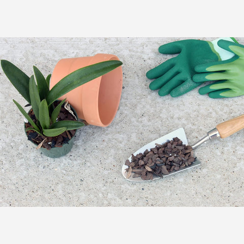 Allzweck-Orchideenmischung für Blumenerde für Zimmerpflanzen (2 Quarts), Orchideenrinde und organisches Perlit für Pflanzen – Sukkulenten-Erde-Blumenerde für Zimmerpflanzen – Orchideenerde 