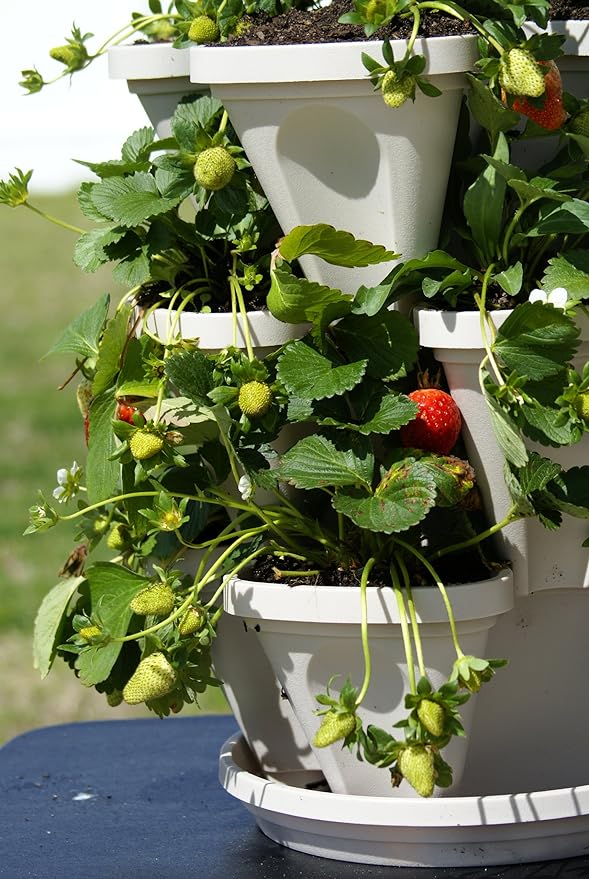 3 Tier Stackable Garden - Indoor / Outdoor Vertical Planter Set - Self Watering Tiers From Top Down - Grow Fresh Herbs In The Kitchen or Patio - Smart Planting Pots - Used for Strawberries Herbs Peppers Flowers and Succulents (Stone)