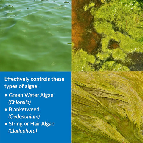 API POND ALGAEFIX Control de algas Botella de 1 galón 