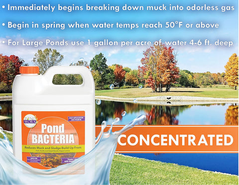 Bacterias para estanques PondWorx, formuladas para estanques grandes, fuentes de agua y seguras para koi, galón 